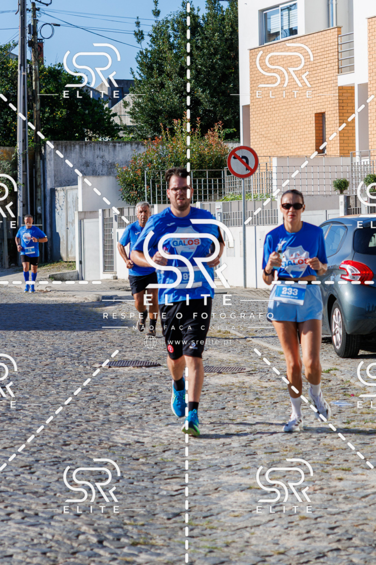 Preview com marca de água da fotografia galos-631