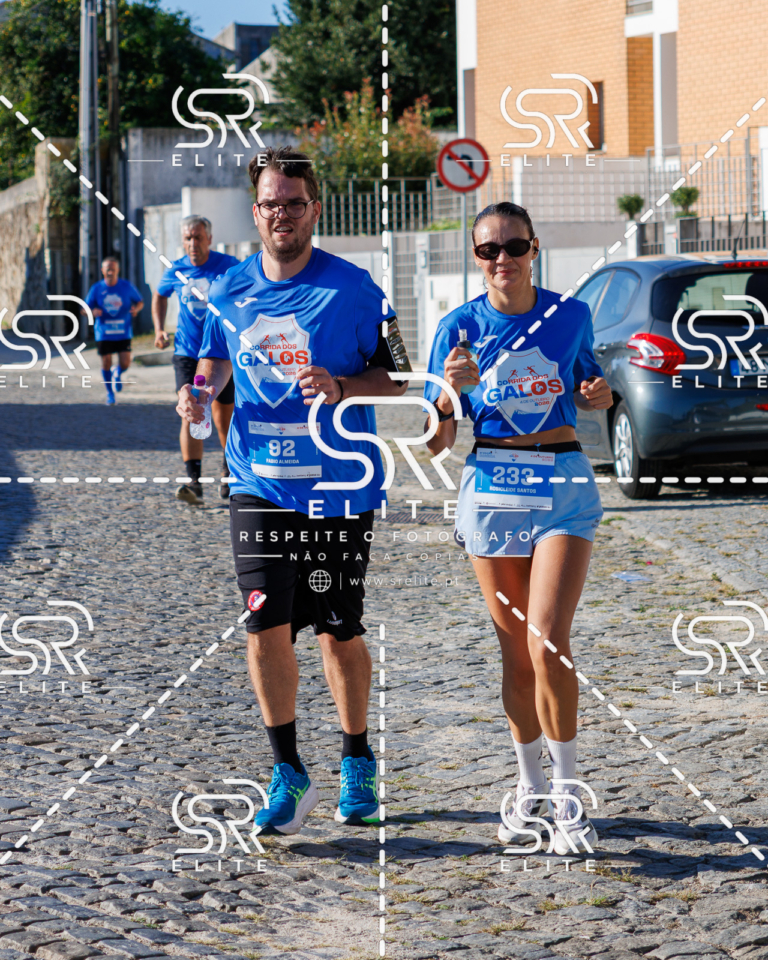 Preview com marca de água da fotografia galos-632