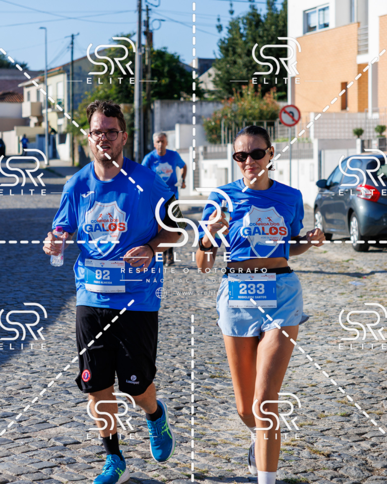 Preview com marca de água da fotografia galos-633