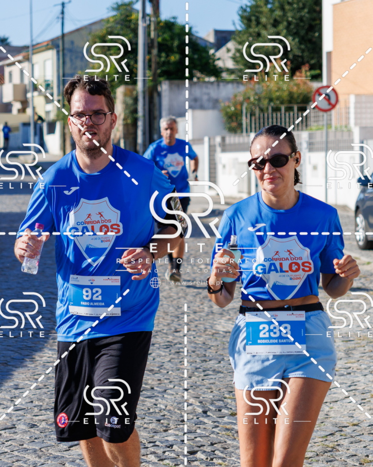 Preview com marca de água da fotografia galos-634