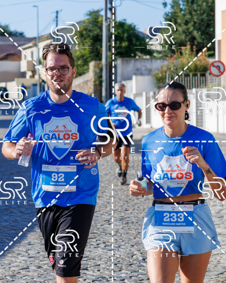 Preview com marca de água da fotografia galos-635