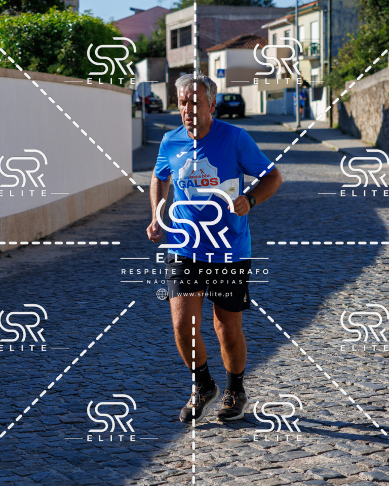 Preview com marca de água da fotografia galos-637