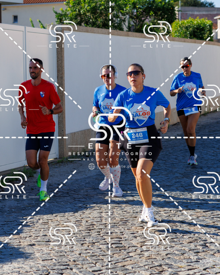Preview com marca de água da fotografia galos-645