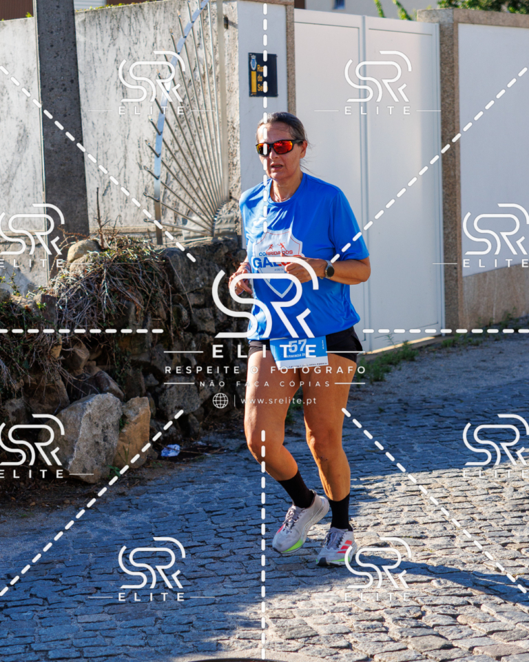 Preview com marca de água da fotografia galos-646