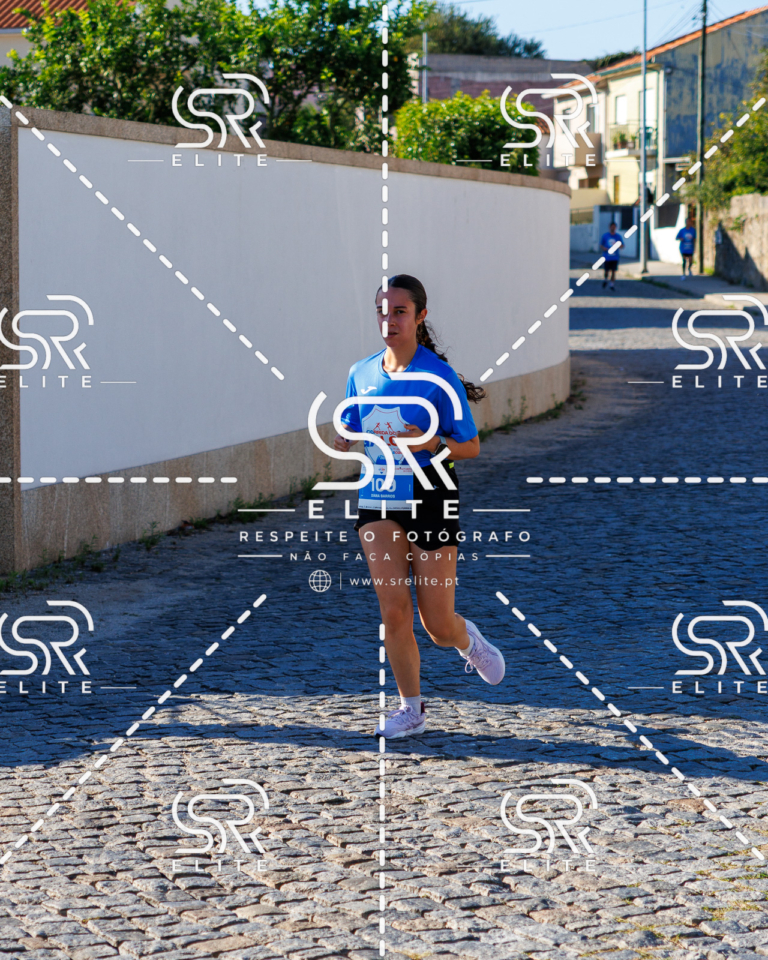 Preview com marca de água da fotografia galos-648