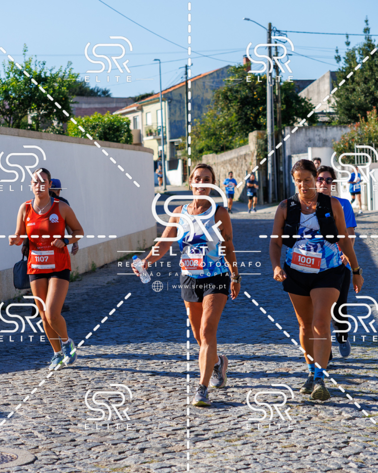 Preview com marca de água da fotografia galos-650