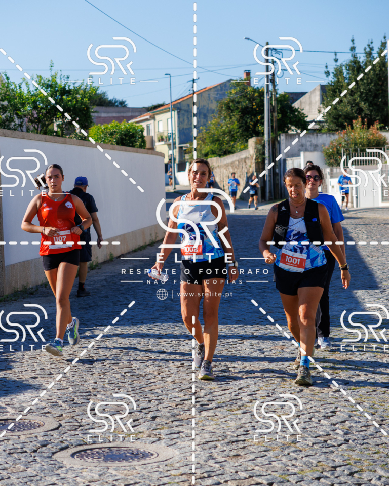 Preview com marca de água da fotografia galos-651