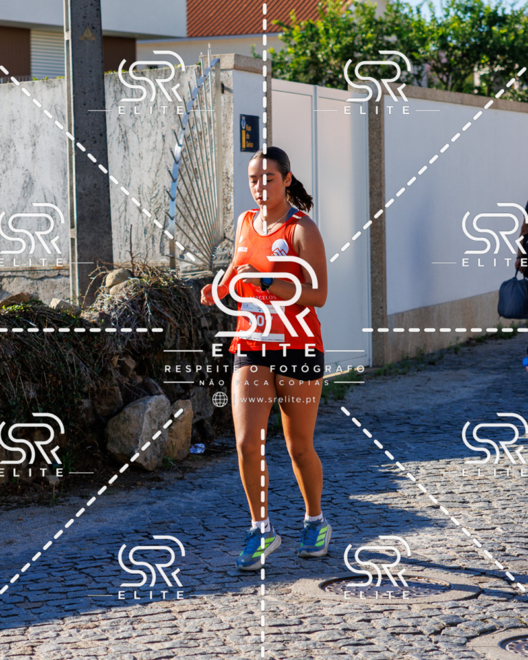 Preview com marca de água da fotografia galos-652