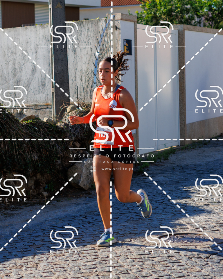 Preview com marca de água da fotografia galos-653