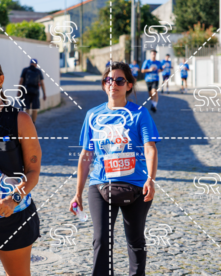 Preview com marca de água da fotografia galos-654