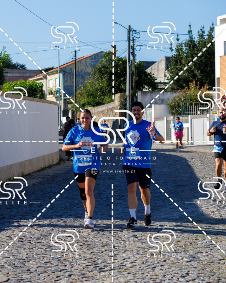 Preview com marca de água da fotografia galos-658