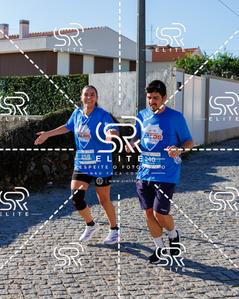 Preview com marca de água da fotografia galos-659