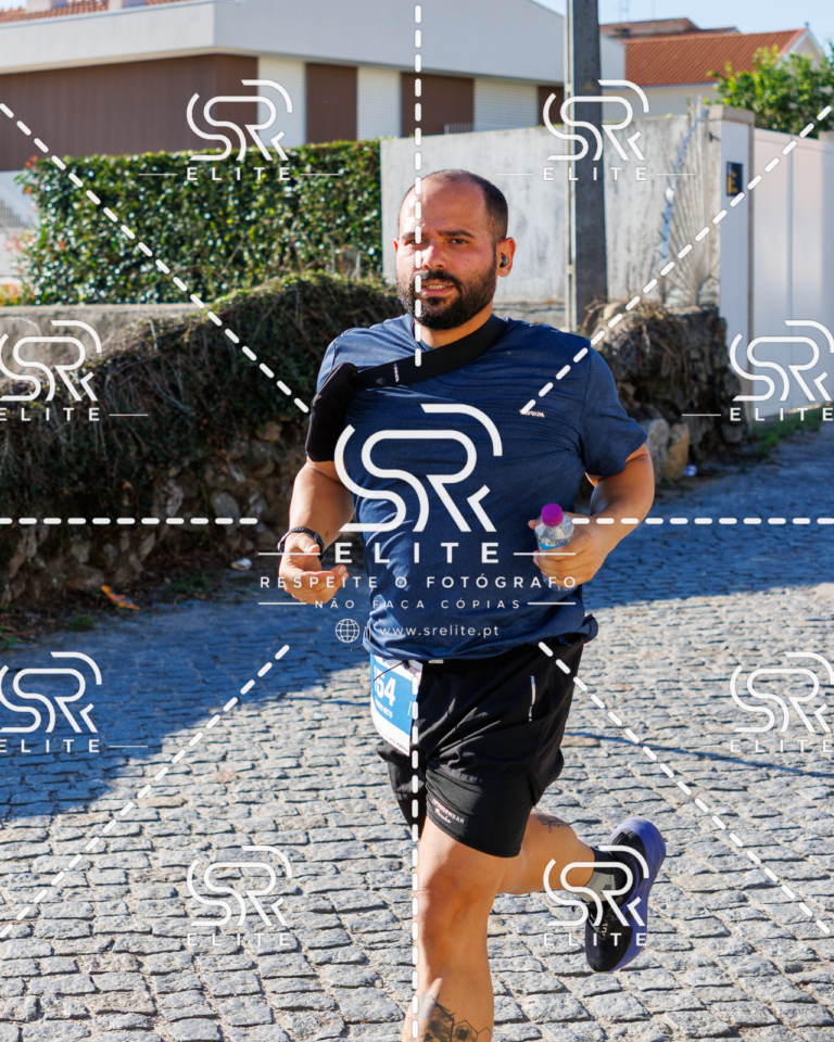 Preview com marca de água da fotografia galos-660