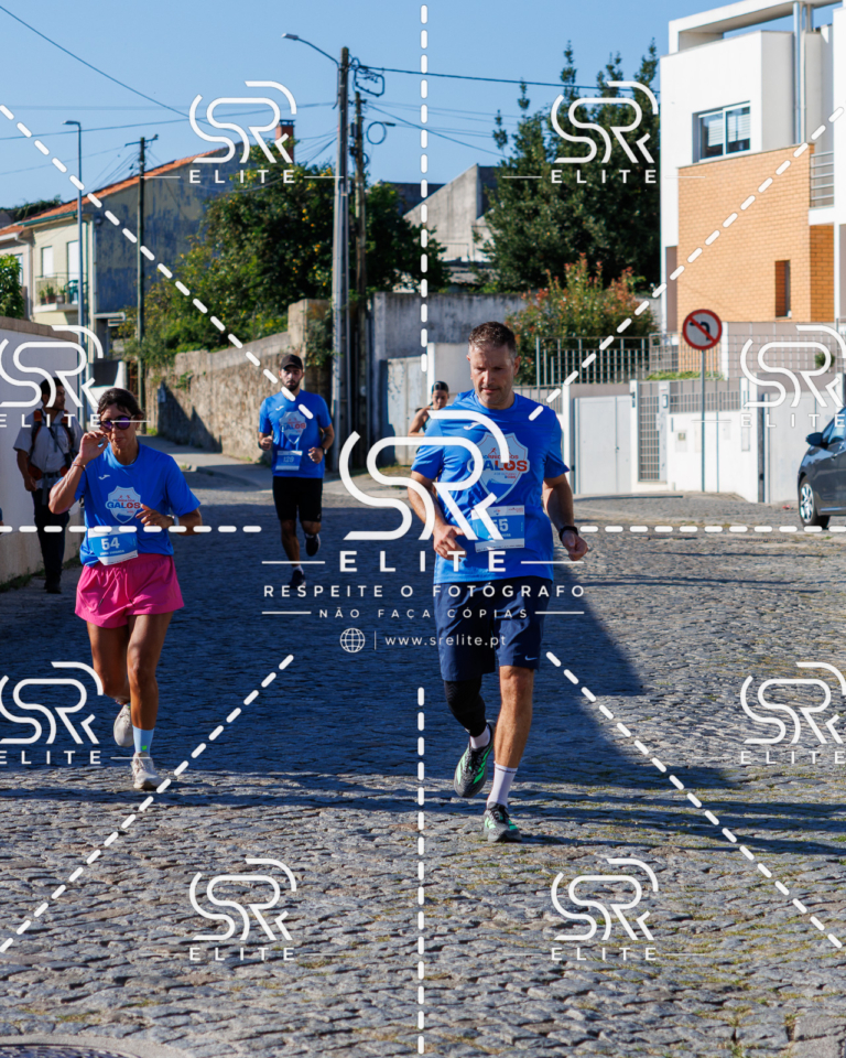 Preview com marca de água da fotografia galos-661