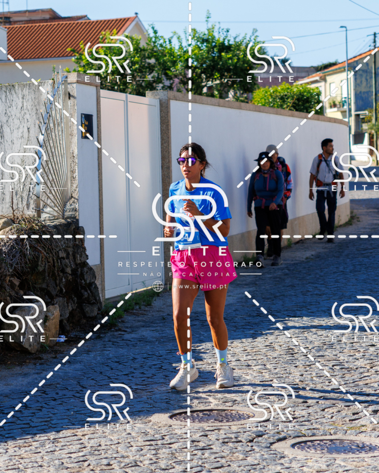 Preview com marca de água da fotografia galos-662