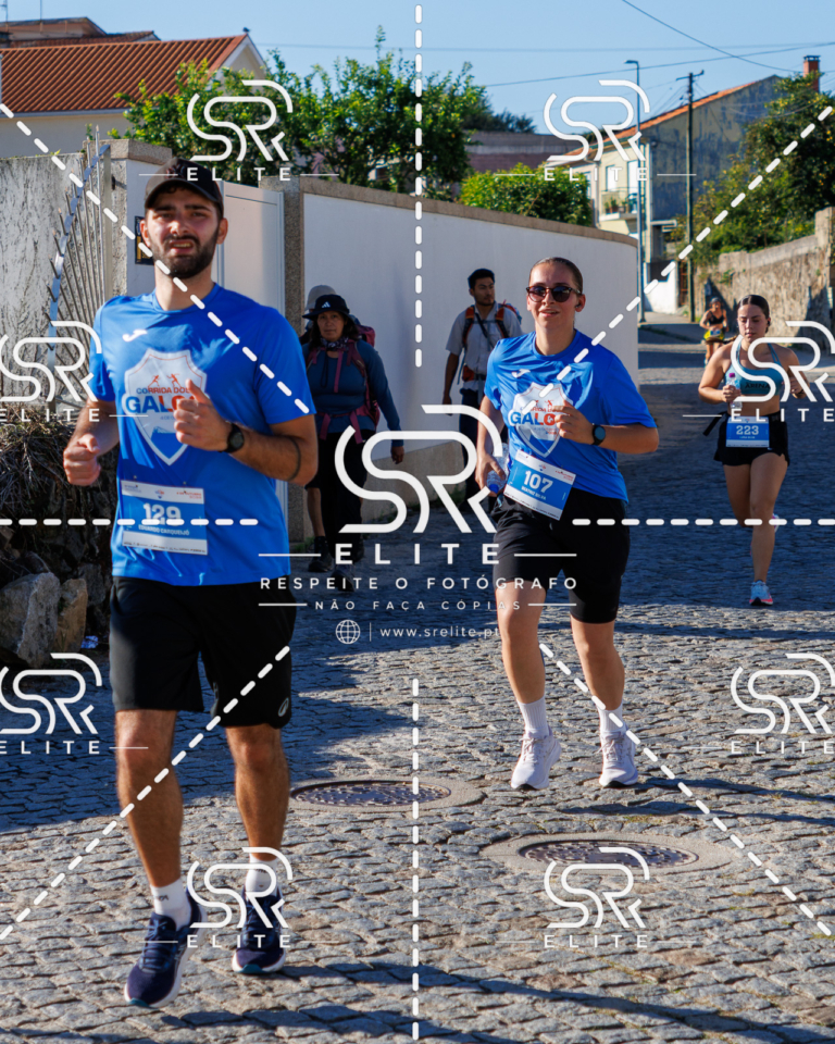 Preview com marca de água da fotografia galos-663