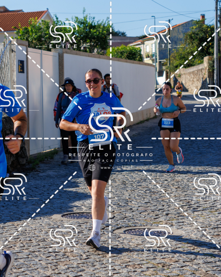 Preview com marca de água da fotografia galos-664