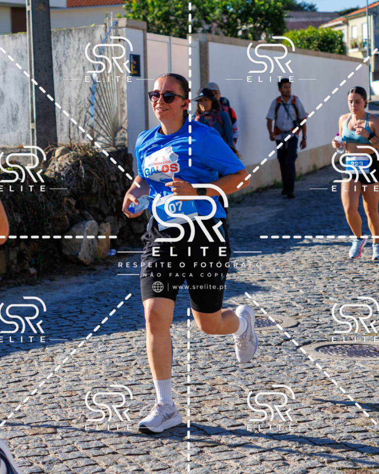 Preview com marca de água da fotografia galos-665