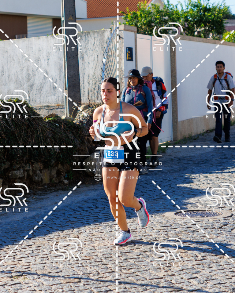Preview com marca de água da fotografia galos-666