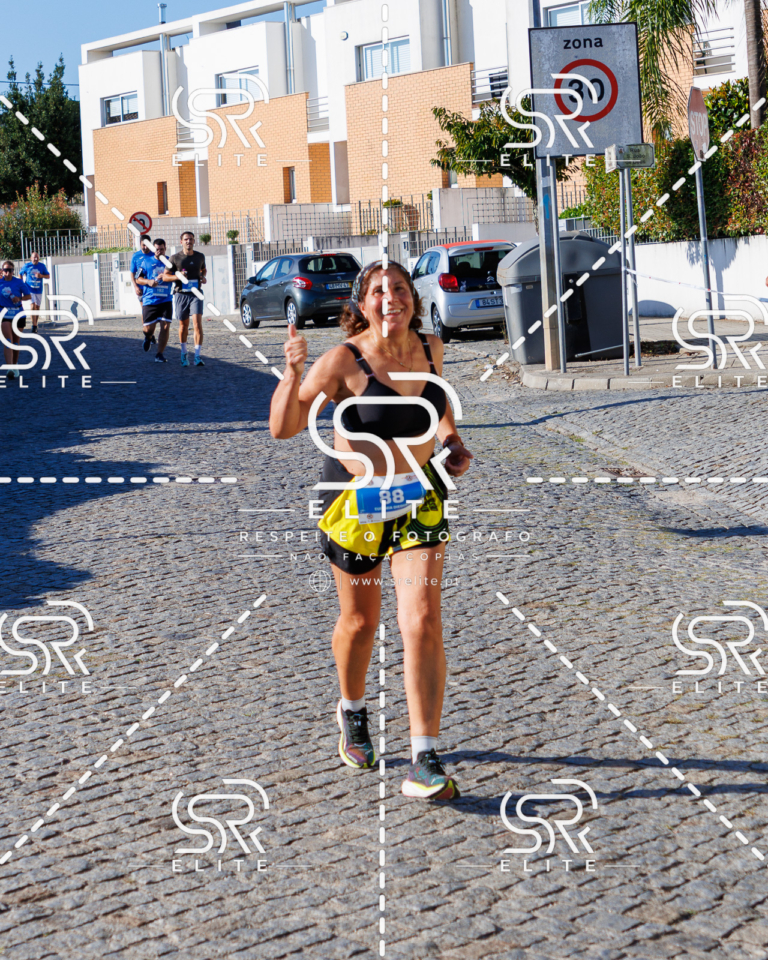 Preview com marca de água da fotografia galos-668