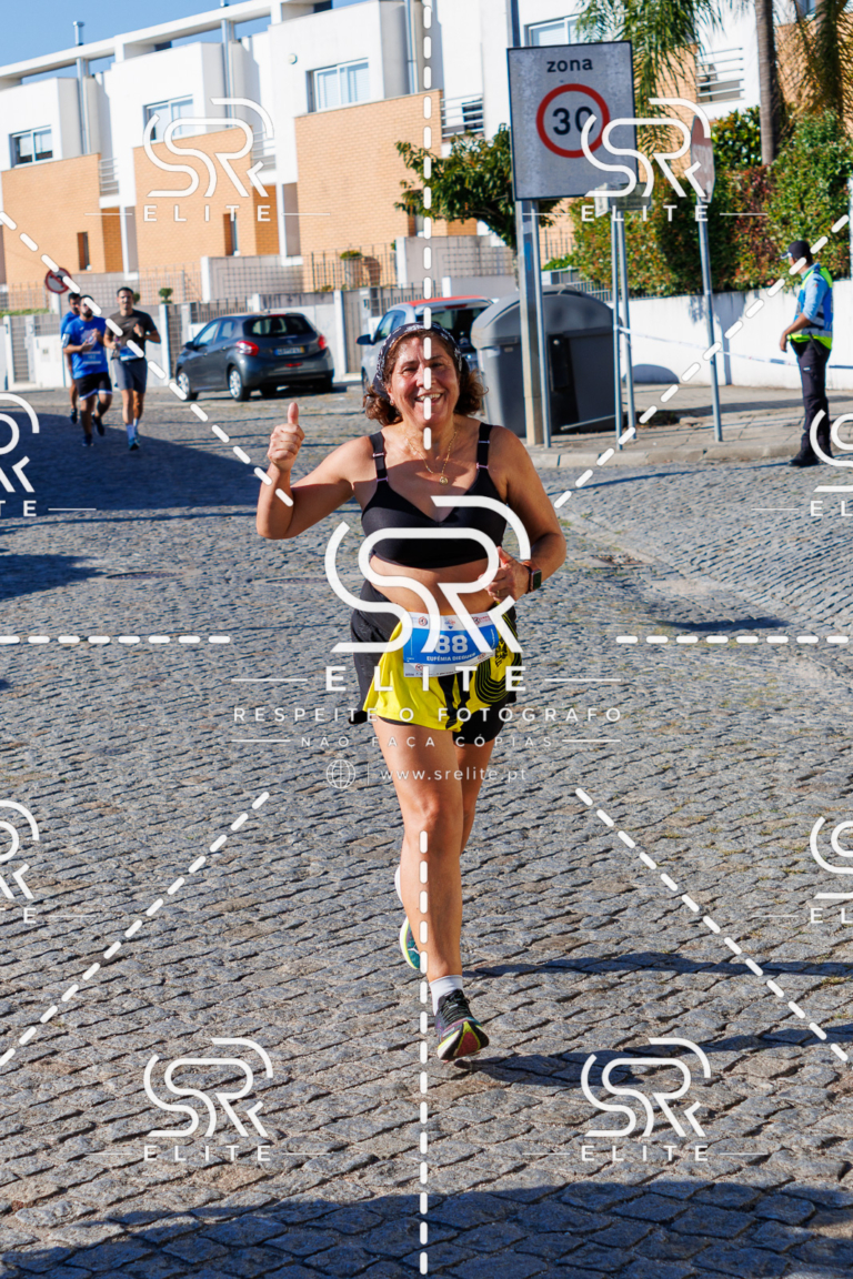 Preview com marca de água da fotografia galos-670