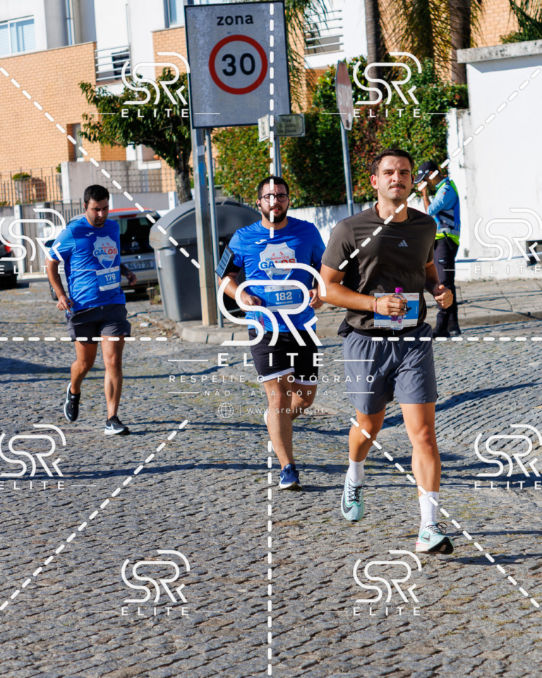 Preview com marca de água da fotografia galos-671