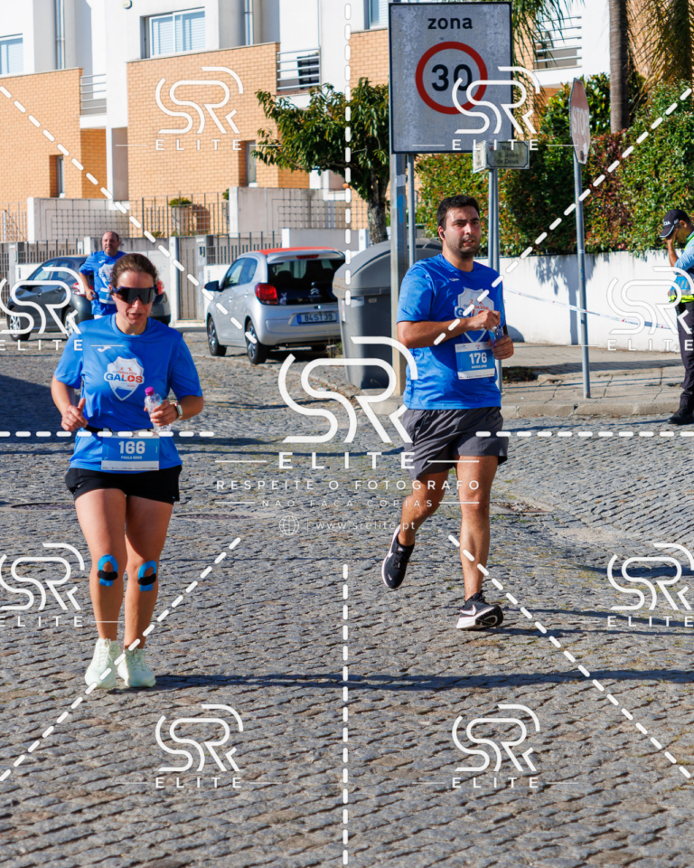 Preview com marca de água da fotografia galos-672