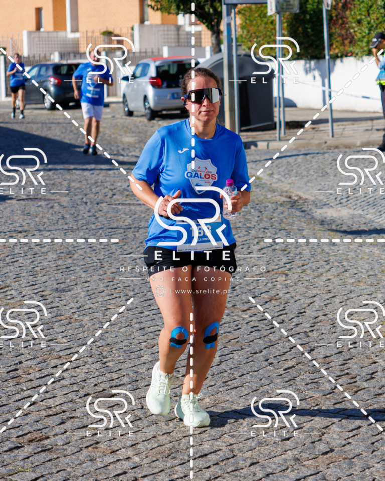 Preview com marca de água da fotografia galos-673