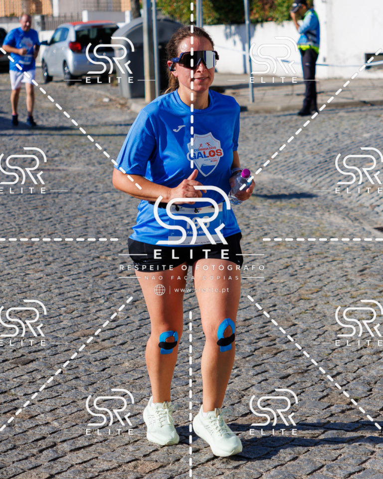 Preview com marca de água da fotografia galos-674