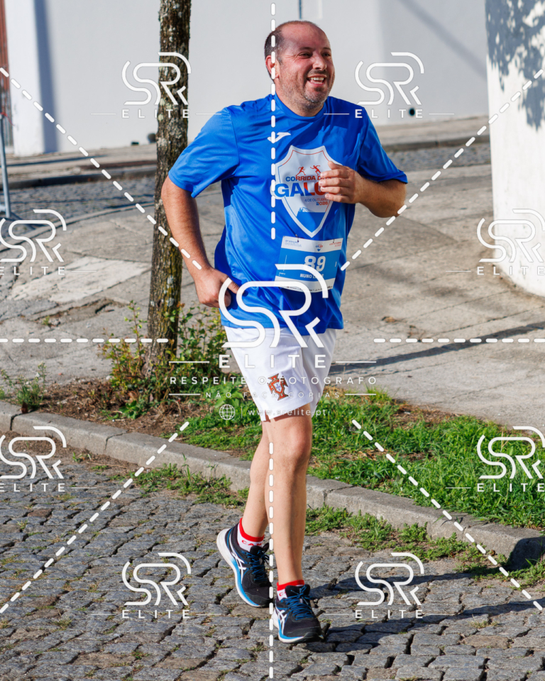 Preview com marca de água da fotografia galos-675