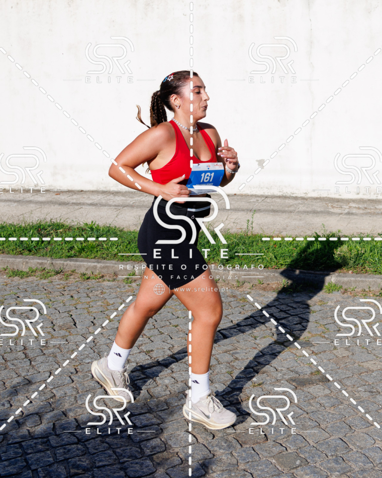 Preview com marca de água da fotografia galos-677