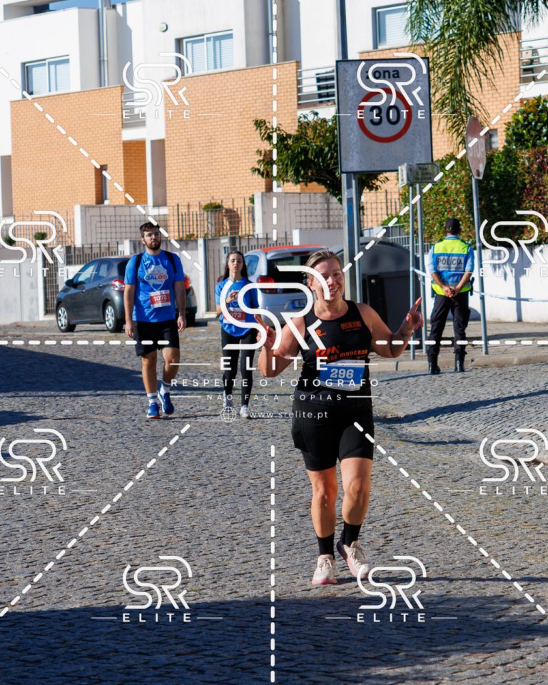 Preview com marca de água da fotografia galos-678