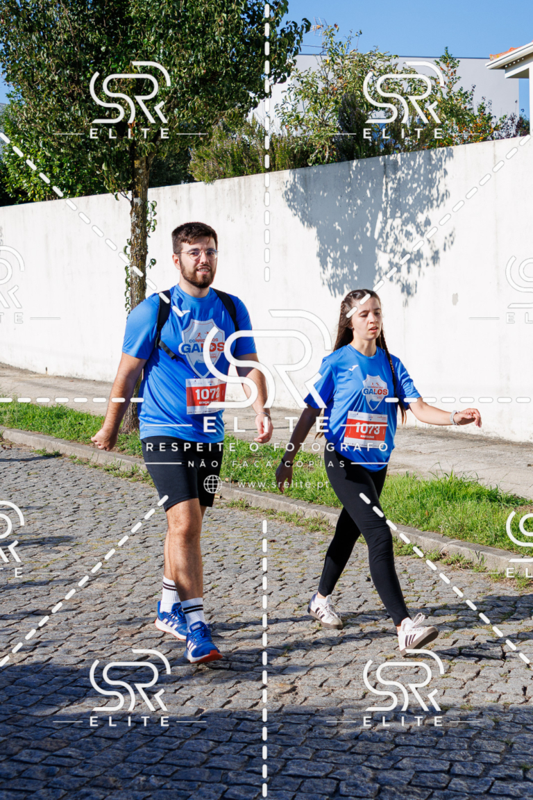 Preview com marca de água da fotografia galos-682