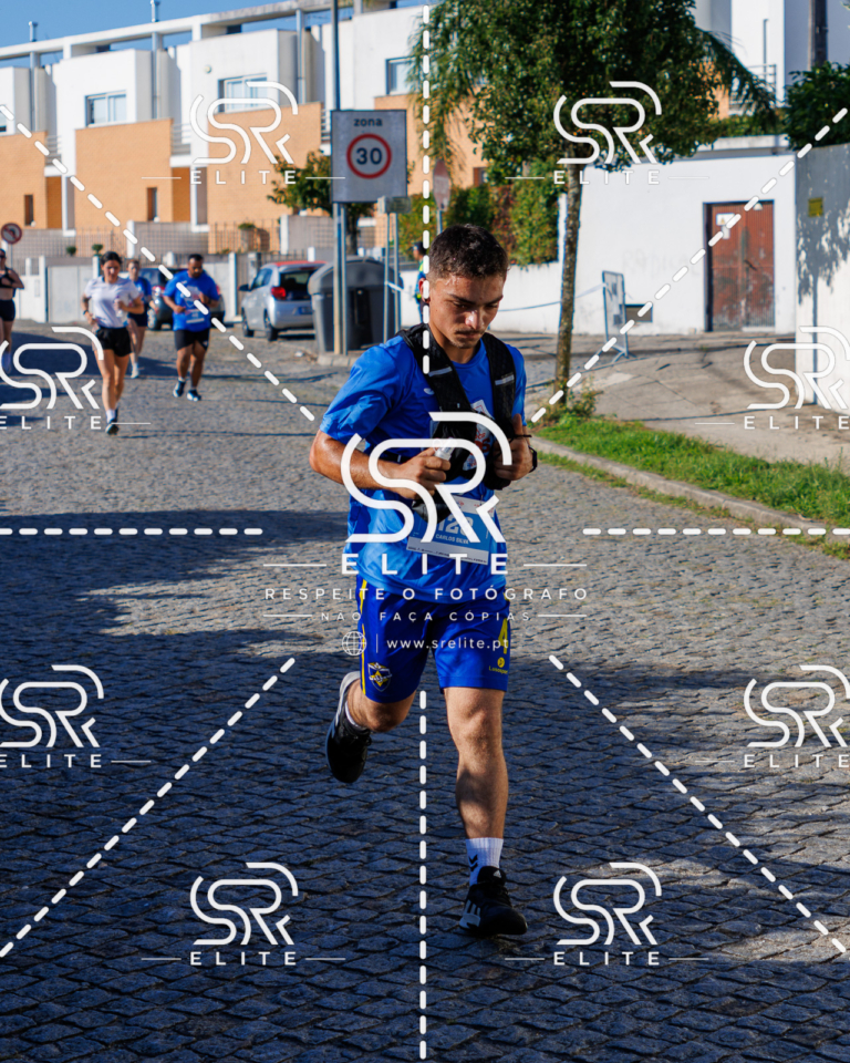 Preview com marca de água da fotografia galos-683