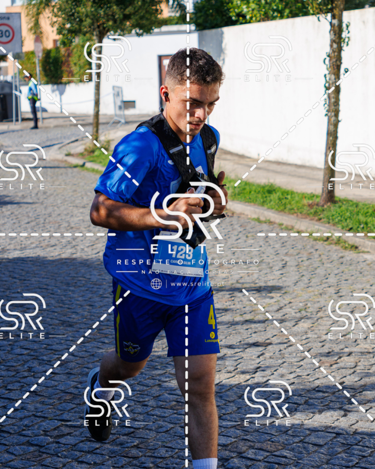 Preview com marca de água da fotografia galos-684
