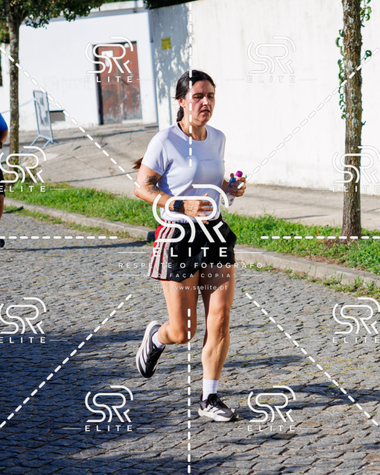 Preview com marca de água da fotografia galos-685
