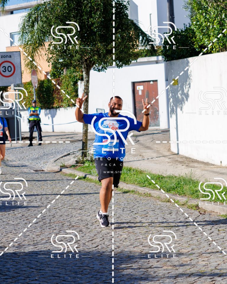 Preview com marca de água da fotografia galos-686