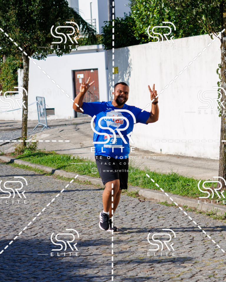 Preview com marca de água da fotografia galos-688