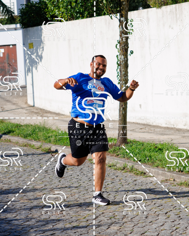Preview com marca de água da fotografia galos-689