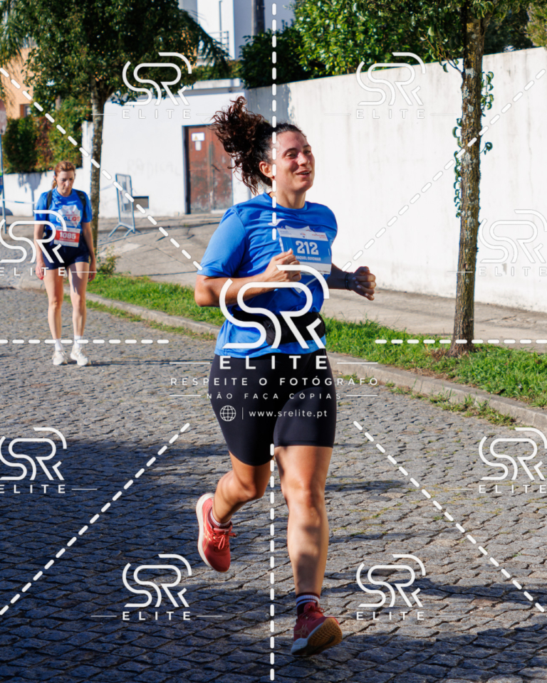 Preview com marca de água da fotografia galos-693