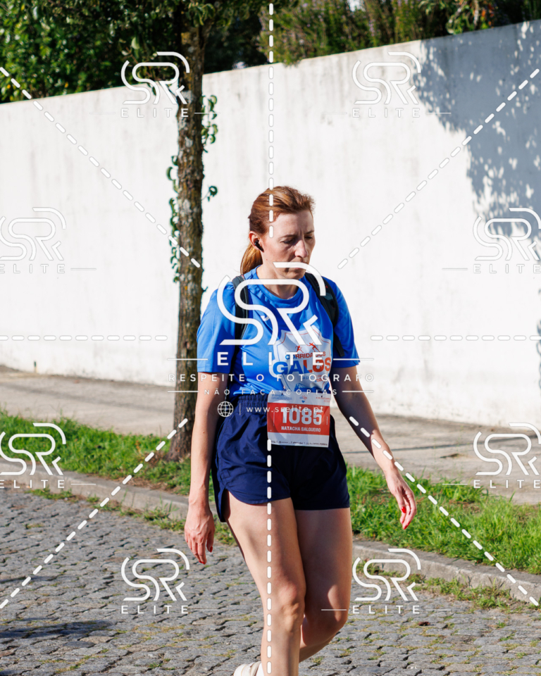 Preview com marca de água da fotografia galos-695
