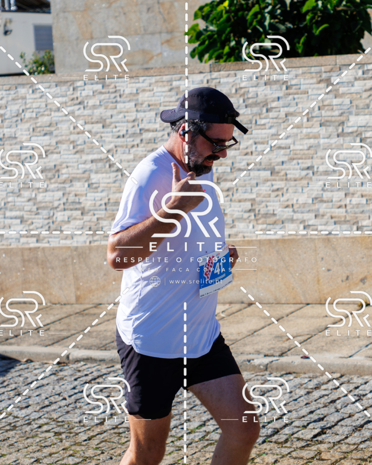 Preview com marca de água da fotografia galos-700