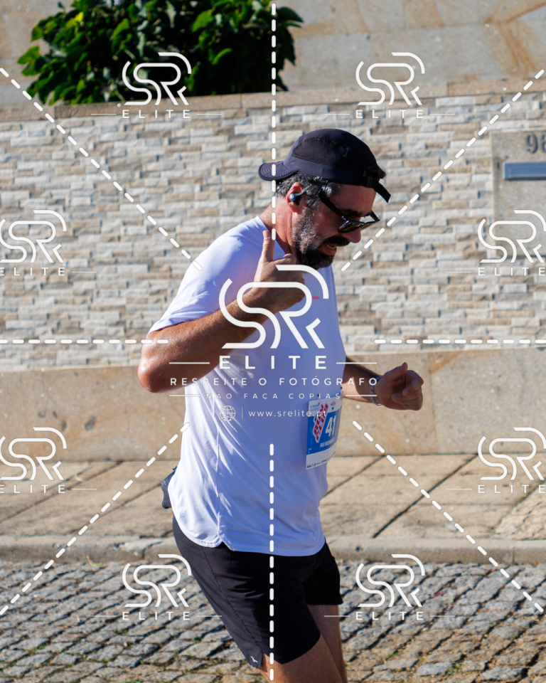 Preview com marca de água da fotografia galos-701