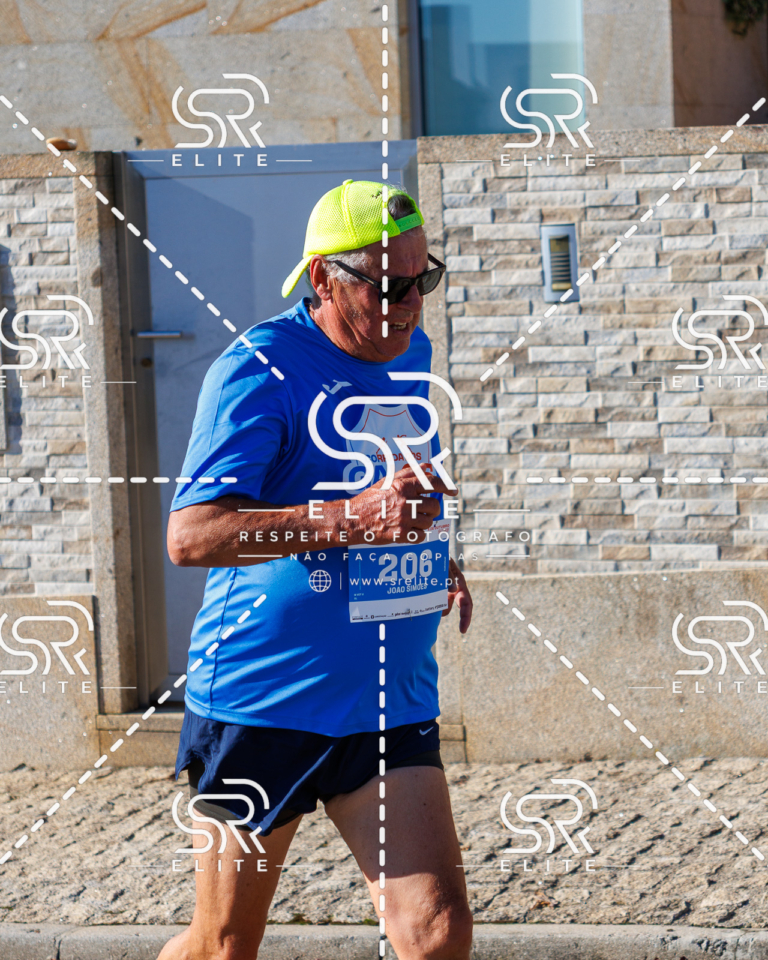 Preview com marca de água da fotografia galos-702