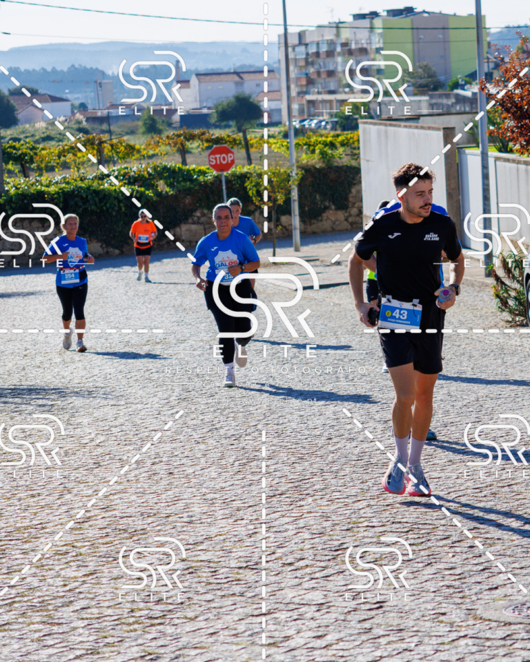 Preview com marca de água da fotografia galos-712