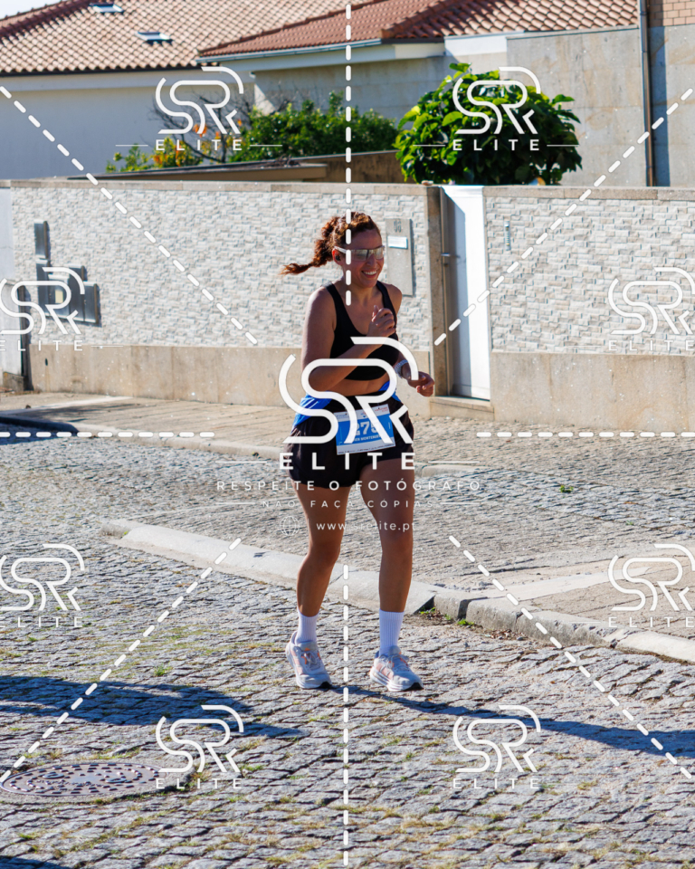 Preview com marca de água da fotografia galos-713