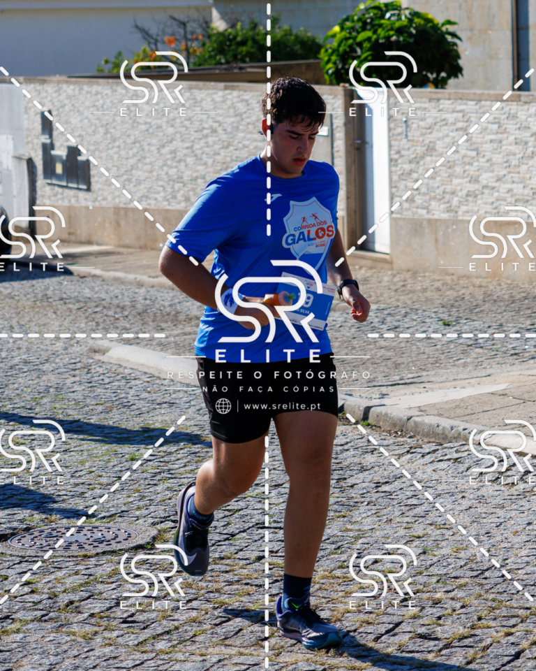 Preview com marca de água da fotografia galos-716