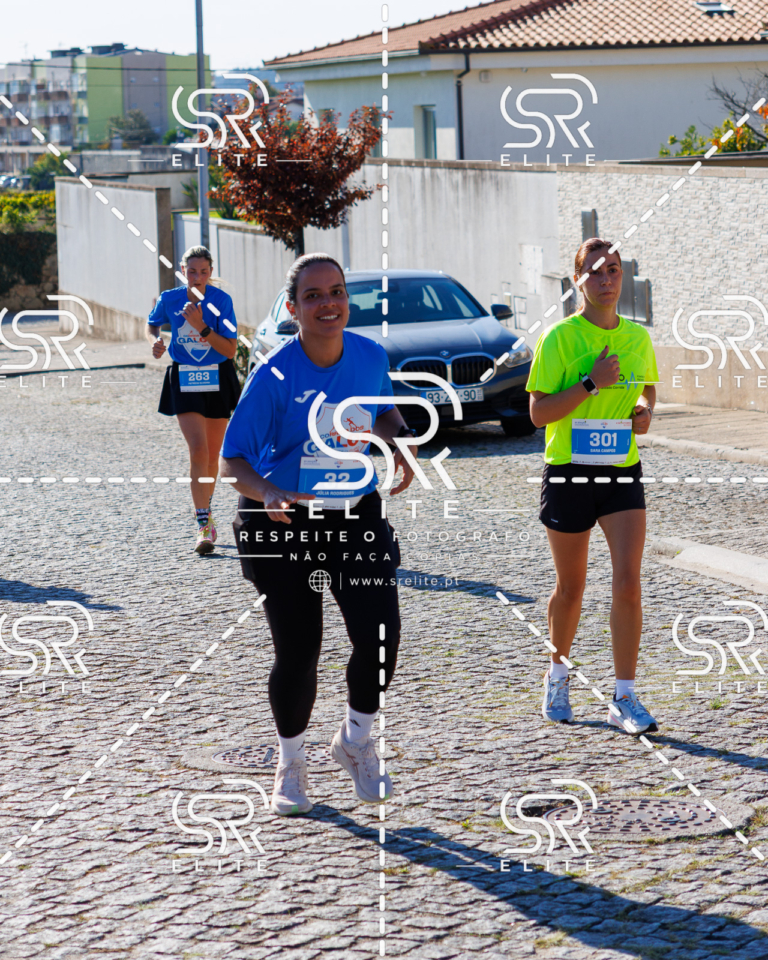Preview com marca de água da fotografia galos-717