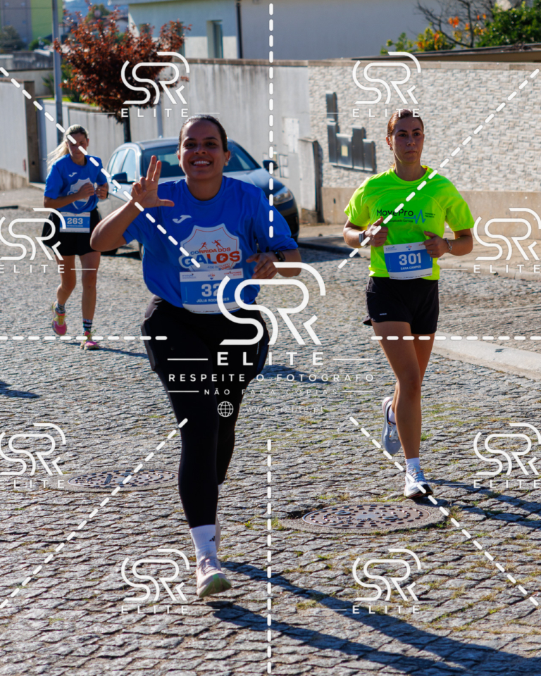 Preview com marca de água da fotografia galos-719