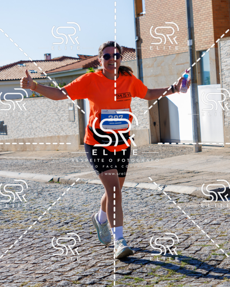 Preview com marca de água da fotografia galos-723